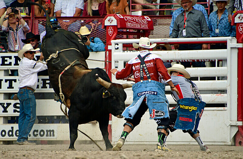 _DSC0052 - CFD Rodeo Performance - July 29th