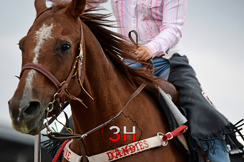 3HRodeo7-27-24_CFD_3HR-CFD- 1999_ - 2024 CFD Dandies