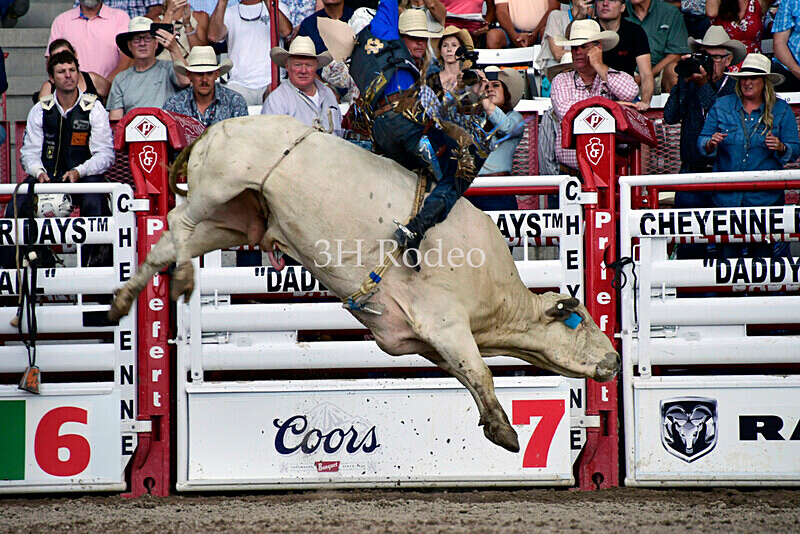 _DSC8121 - Championship Sunday Rodeo Perf - July 30th