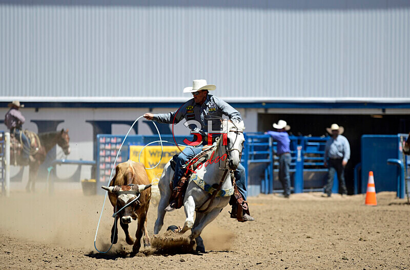 3HRodeo8-11-25_PRCASteer_04664_ - 2025 Colorado Stand Alone Steer Roping-Greeley