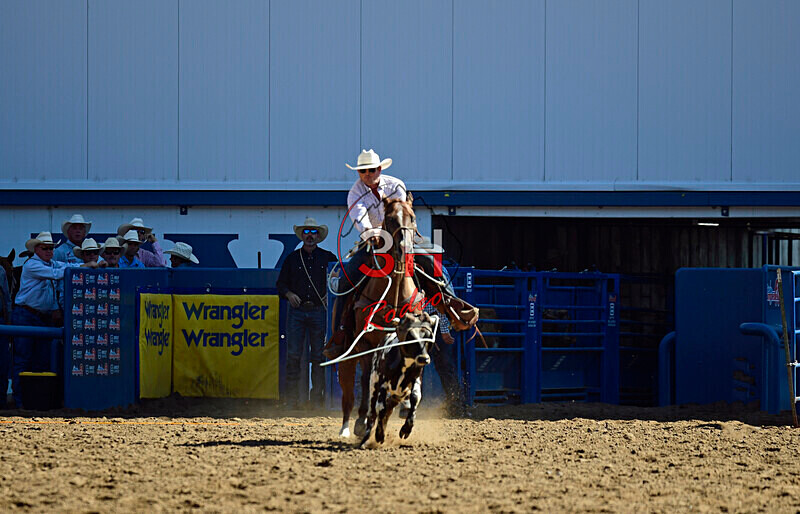 3HRodeo8-11-25_PRCASteer_00208_ - 2025 Colorado Stand Alone Steer Roping-Greeley