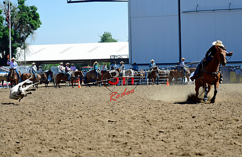 3HRodeo8-11-25_PRCASteer_01852_ - 2025 Colorado Stand Alone Steer Roping-Greeley
