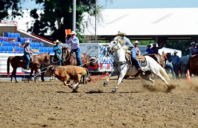 3HRodeo8-11-25_PRCASteer_01559_ - 2025 Colorado Stand Alone Steer Roping-Greeley