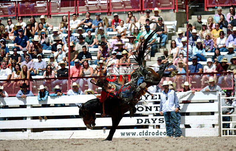 3HRodeo7-19-25_CFD_03952_ - July 19th Rodeo Performance