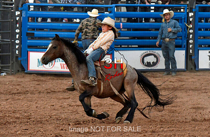 3HRodeo7-11-24_LJD_3HR1846_LJD - Mr. T Xtreme Bull Riding