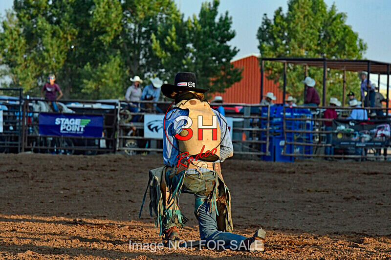 3HRodeo7-12-24_LJD_3HR3970_LJD - PRCA Rodeo - July 12, 2024