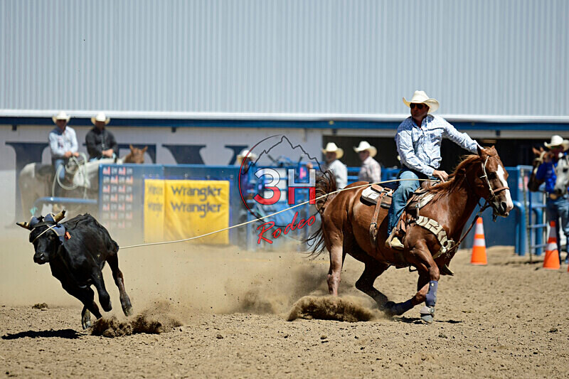 3HRodeo8-11-25_PRCASteer_04760_ - 2025 Colorado Stand Alone Steer Roping-Greeley