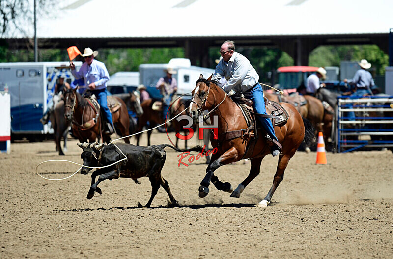 3HRodeo8-11-25_PRCASteer_03821_ - 2025 Colorado Stand Alone Steer Roping-Greeley