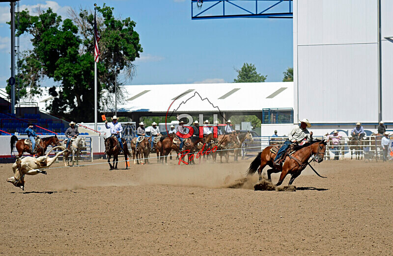 3HRodeo8-11-25_PRCASteer_06735_ - 2025 Colorado Stand Alone Steer Roping-Greeley