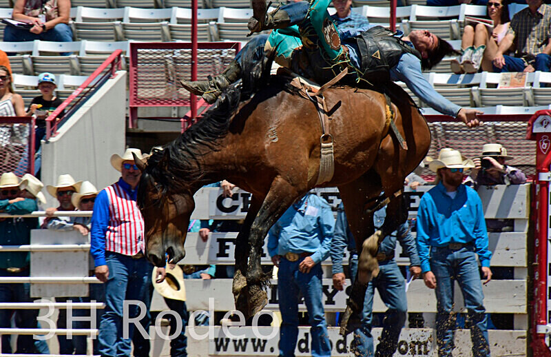 _DSC5193 - CFD Rodeo Performance - July 22nd