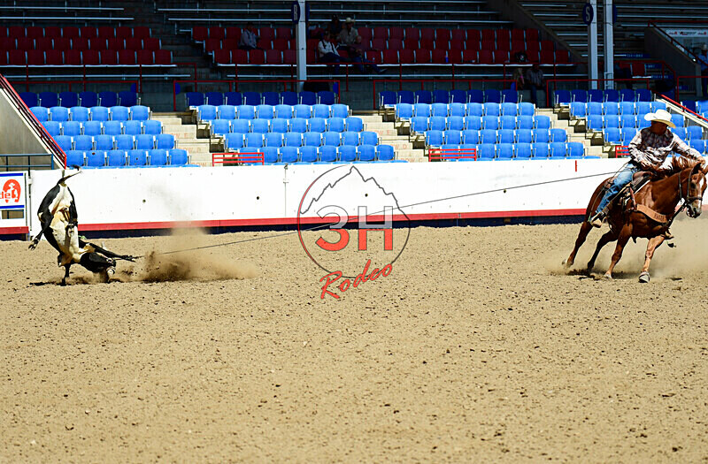 3HRodeo8-11-25_PRCASteer_03500_ - 2025 Colorado Stand Alone Steer Roping-Greeley