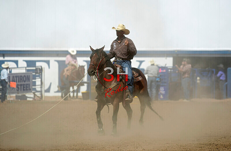 3HRodeo8-11-25_PRCASteer_07802_ - 2025 Colorado Stand Alone Steer Roping-Greeley