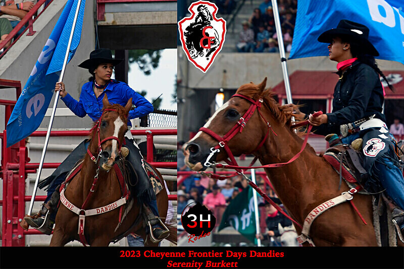 2 PIC Collage with logos - Rodeo Images as Artwork Pieces
