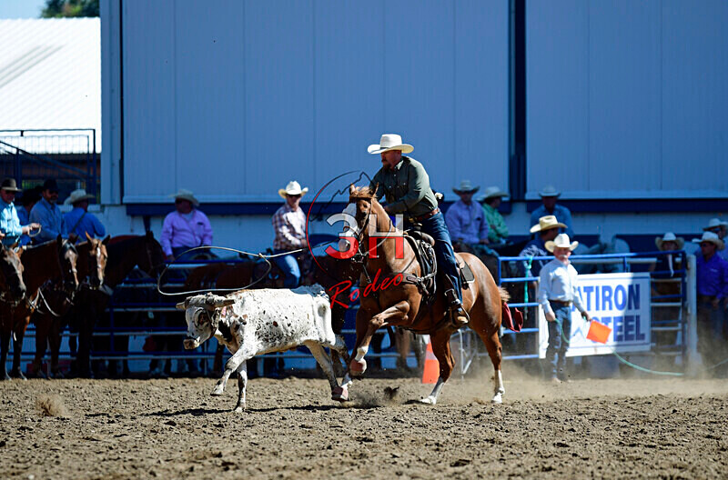 3HRodeo8-11-25_PRCASteer_00379_ - 2025 Colorado Stand Alone Steer Roping-Greeley