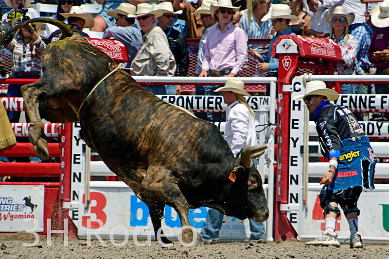 _DSC4313 - CFD Rodeo Performance - July 23rd