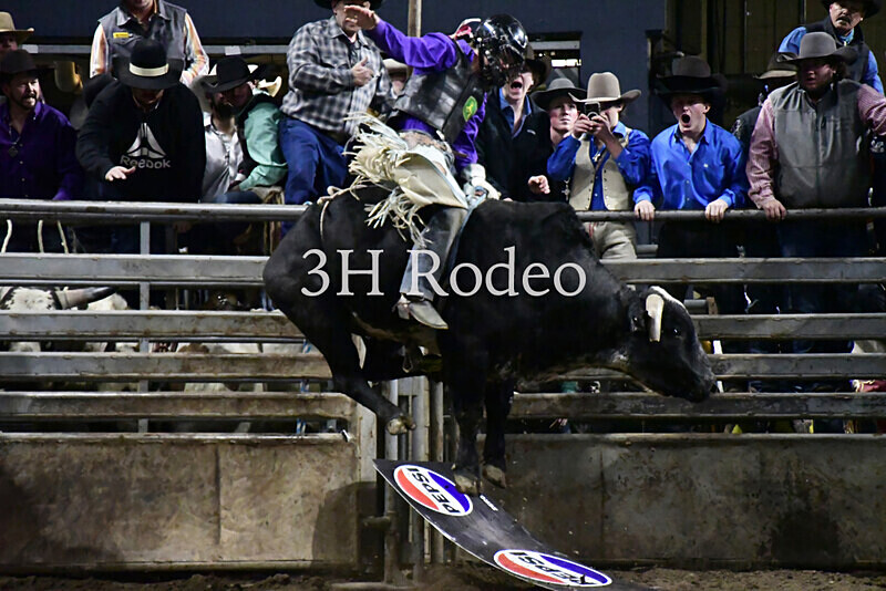 Brenson Bartlett_DSC1645 - Extreme Rodeo Challenge
