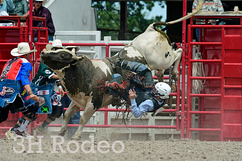 _DSC6925 - CFD Rodeo Performance - July 25th