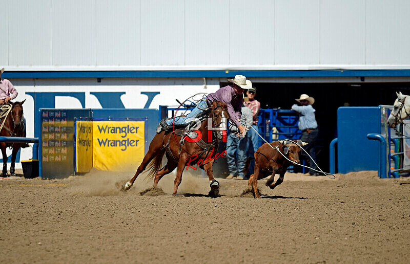 3HRodeo8-11-25_PRCASteer_07806_ - 2025 Colorado Stand Alone Steer Roping-Greeley
