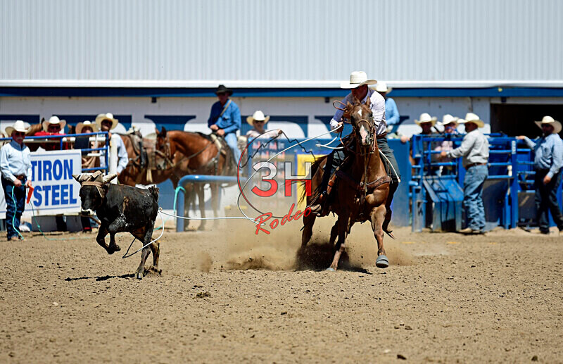 3HRodeo8-11-25_PRCASteer_05677_ - 2025 Colorado Stand Alone Steer Roping-Greeley