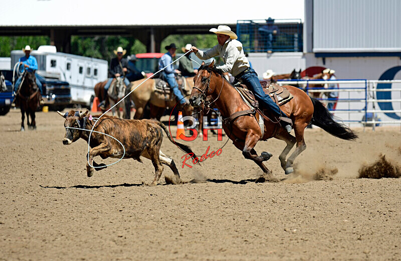 3HRodeo8-11-25_PRCASteer_04881_ - 2025 Colorado Stand Alone Steer Roping-Greeley