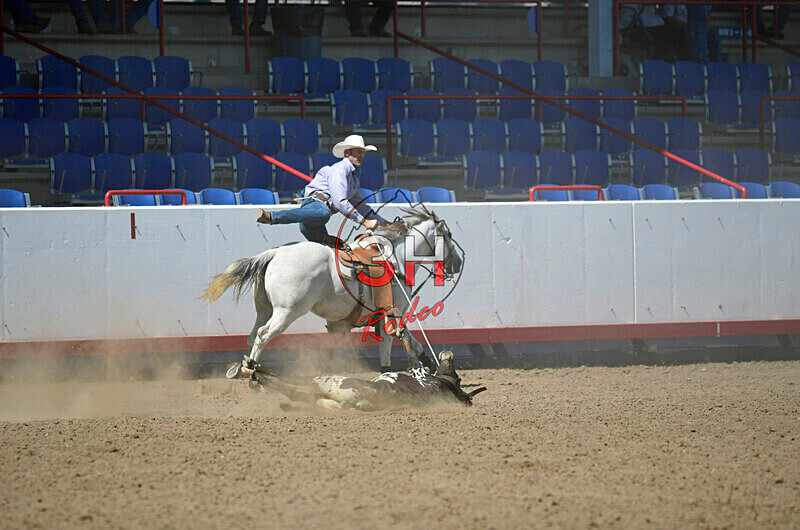 3HRodeo8-11-25_PRCASteer_07124_ - 2025 Colorado Stand Alone Steer Roping-Greeley