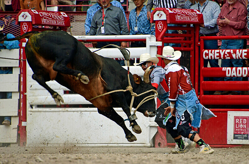 _DSC0058 - CFD Rodeo Performance - July 29th