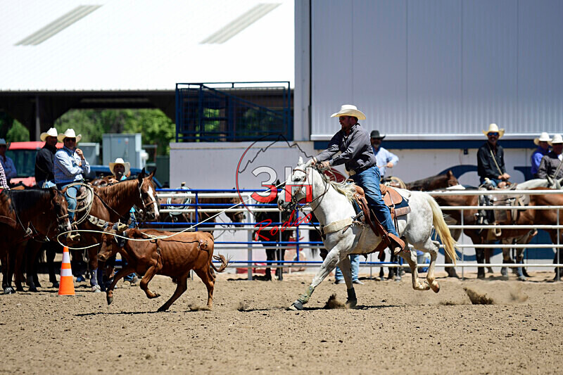 3HRodeo8-11-25_PRCASteer_04313_ - 2025 Colorado Stand Alone Steer Roping-Greeley