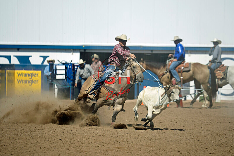 3HRodeo8-11-25_PRCASteer_07918_ - 2025 Colorado Stand Alone Steer Roping-Greeley