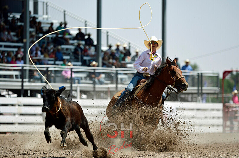 3HRodeo7-25-24_CFD_3636_ - PRCA Photographer Permit Portfolio-2025