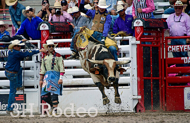 _DSC8008 - CFD Rodeo Performance - July 28th