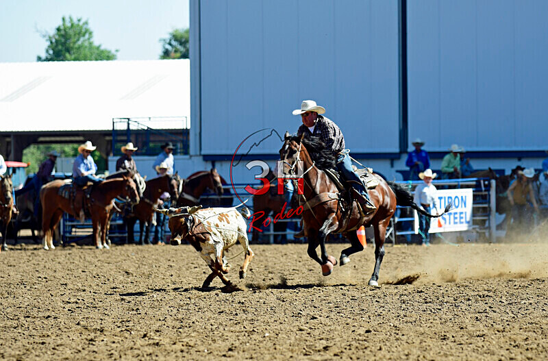3HRodeo8-11-25_PRCASteer_00624_ - 2025 Colorado Stand Alone Steer Roping-Greeley