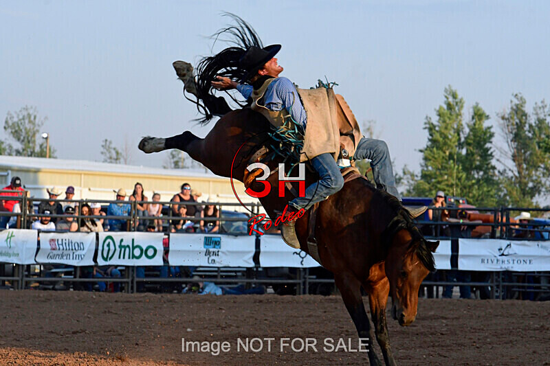 3HRodeo7-12-24_LJD_3HR3953_LJD - PRCA Rodeo - July 12, 2024