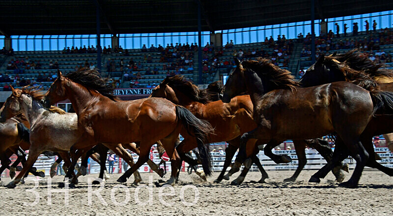 _DSC5057 - CFD Rodeo Performance - July 22nd