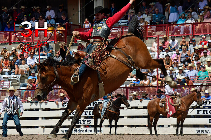 _DSC2837 - CFD Rodeo Performance - July 23rd