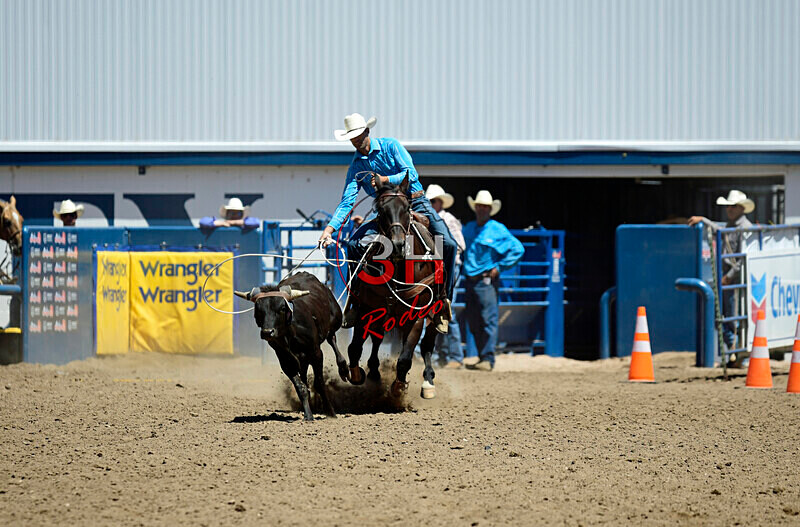 3HRodeo8-11-25_PRCASteer_05223_ - 2025 Colorado Stand Alone Steer Roping-Greeley