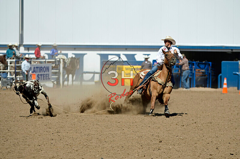 3HRodeo8-11-25_PRCASteer_07528_ - 2025 Colorado Stand Alone Steer Roping-Greeley