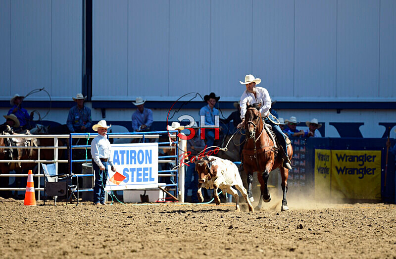 3HRodeo8-11-25_PRCASteer_01778_ - 2025 Colorado Stand Alone Steer Roping-Greeley