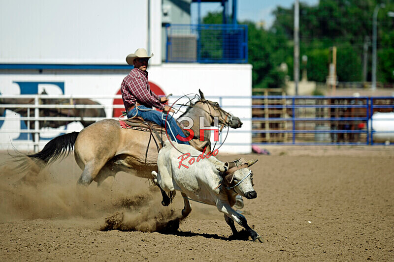 3HRodeo8-11-25_PRCASteer_07929_ - 2025 Colorado Stand Alone Steer Roping-Greeley