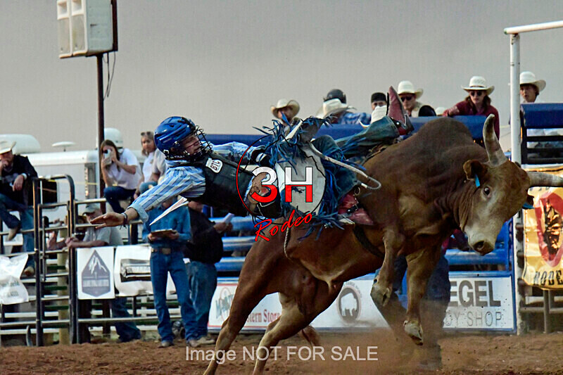 3HRodeo7-10-24_3HR1383_LJD - Jubilee Days Junior Bull Riding