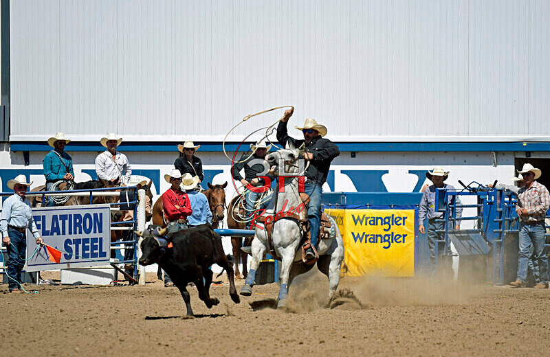 3HRodeo8-11-25_PRCASteer_06930_ - 2025 Colorado Stand Alone Steer Roping-Greeley