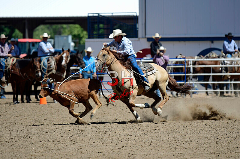 3HRodeo8-11-25_PRCASteer_04272_ - 2025 Colorado Stand Alone Steer Roping-Greeley
