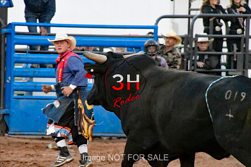 3HRodeo7-11-24_LJD_3HR2151_LJD - Mr. T Xtreme Bull Riding