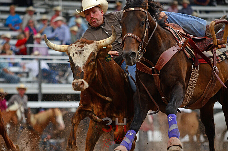 3HRodeo_CFD_DanCathcart_0815 - The 17 images that didn't make the final cut