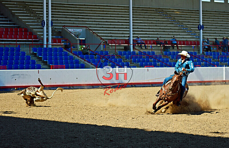 3HRodeo8-11-25_PRCASteer_07645_ - 2025 Colorado Stand Alone Steer Roping-Greeley