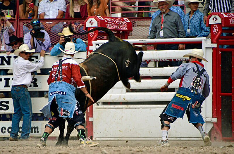 _DSC0051 - CFD Rodeo Performance - July 29th