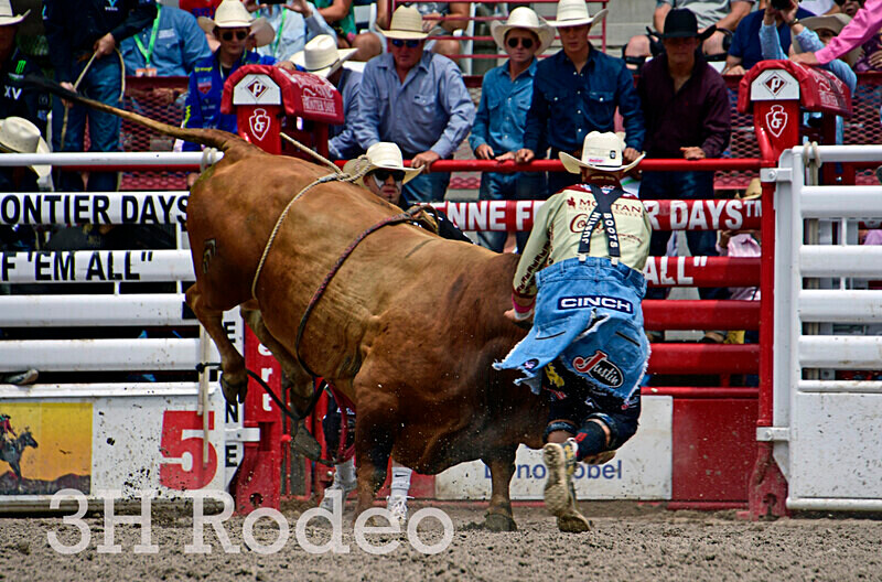 _DSC3862 - CFD Rodeo Performance - July 27th