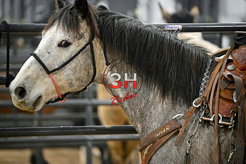 3HRodeo_Frozen_Fury_FEB_2026_00129 - 2026 Frozen Fury on the Plains