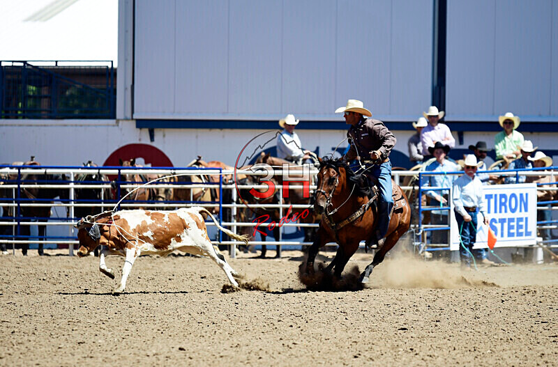 3HRodeo8-11-25_PRCASteer_03574_ - 2025 Colorado Stand Alone Steer Roping-Greeley