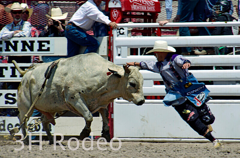 _DSC4432 - CFD Rodeo Performance - July 23rd