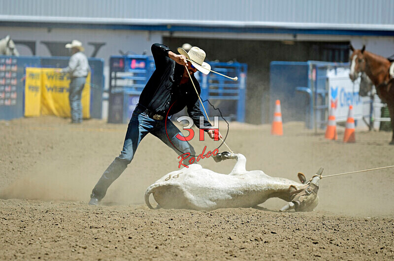 3HRodeo8-11-25_PRCASteer_04627_ - 2025 Colorado Stand Alone Steer Roping-Greeley